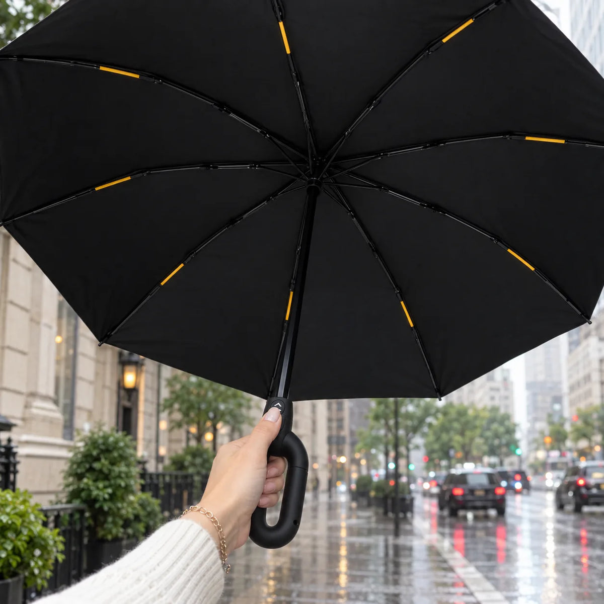 Japanese Umbrella
